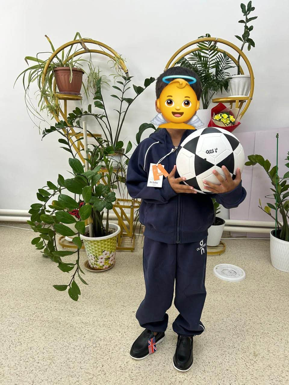 6aa40474245fc.jpg